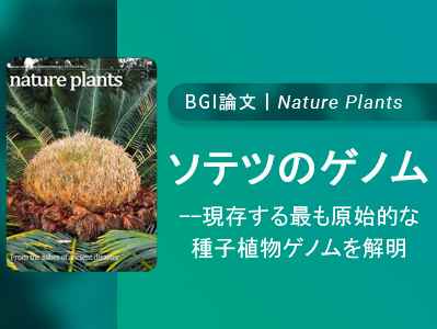 BGI | Nature Plantsに掲載！ソテツのゲノム-現存する最も原始的な種子植物ゲノムを解明！