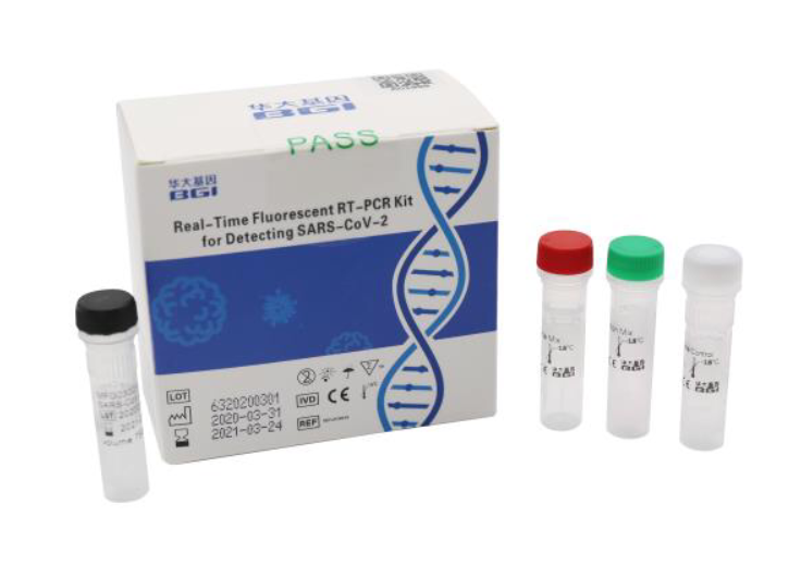 Real-Time Fluorescent RT-PCR Kit for Detecting SARS-CoV-2